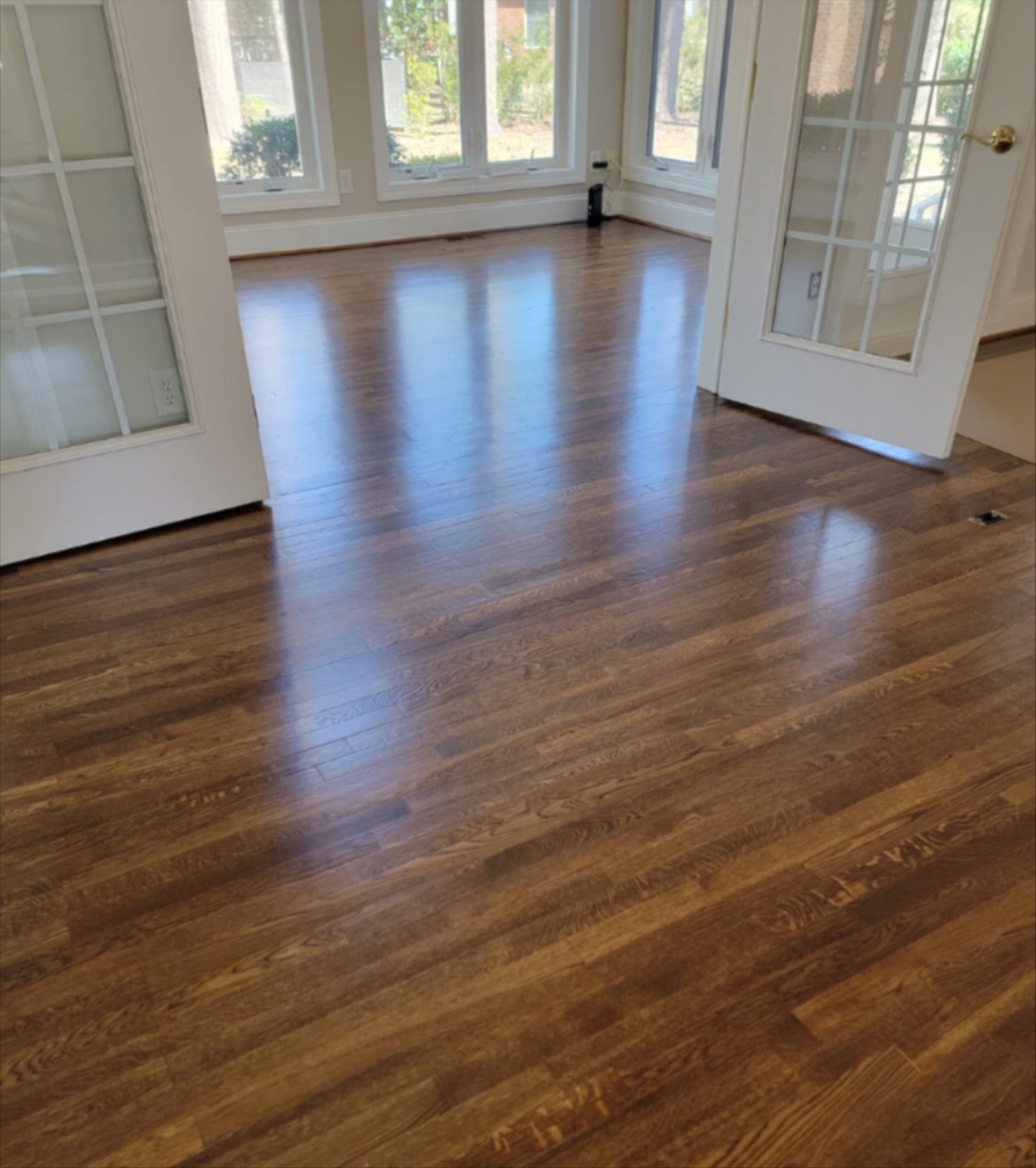 Bright room with polished dark hardwood flooring
