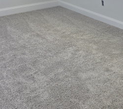 Light neutral carpet flooring